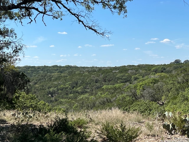 125 Deer Hvn, Hunt TX, 78024 land for sale