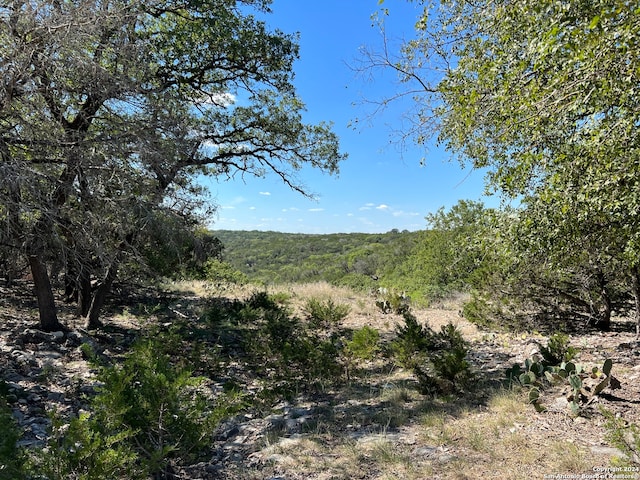 Listing photo 2 for 125 Deer Hvn, Hunt TX 78024