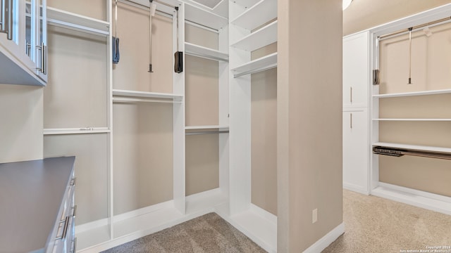 spacious closet with light colored carpet