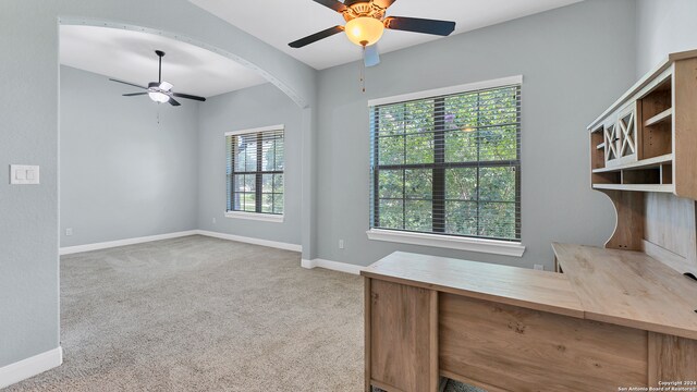 unfurnished office with ceiling fan, light carpet, and a wealth of natural light