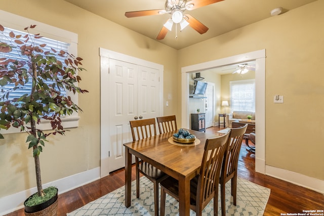 dining space with ceiling fan and dark hardwood / wood-style floors