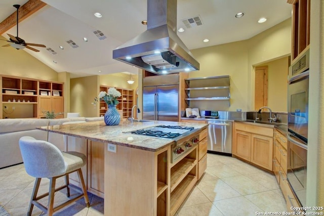 kitchen featuring appliances with stainless steel finishes, sink, island exhaust hood, light stone counters, and a kitchen island with sink