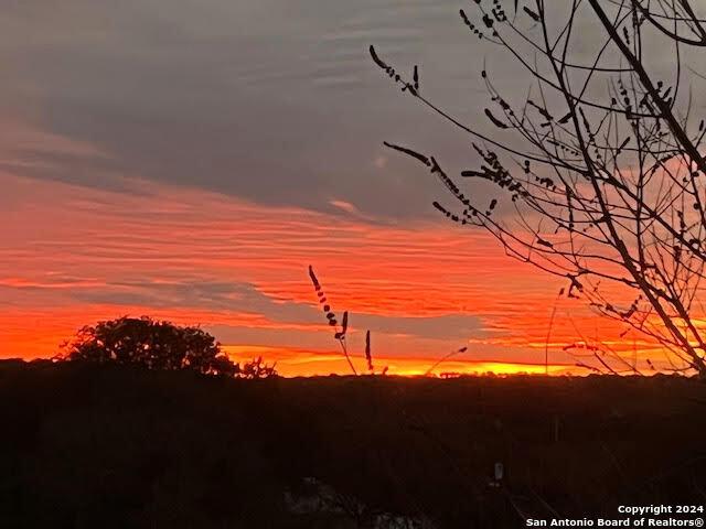 view of nature at dusk