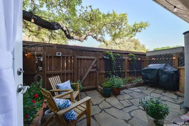 view of patio / terrace featuring grilling area