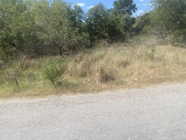 Listing photo 3 for 570 County Road 6842, Lytle TX 78052