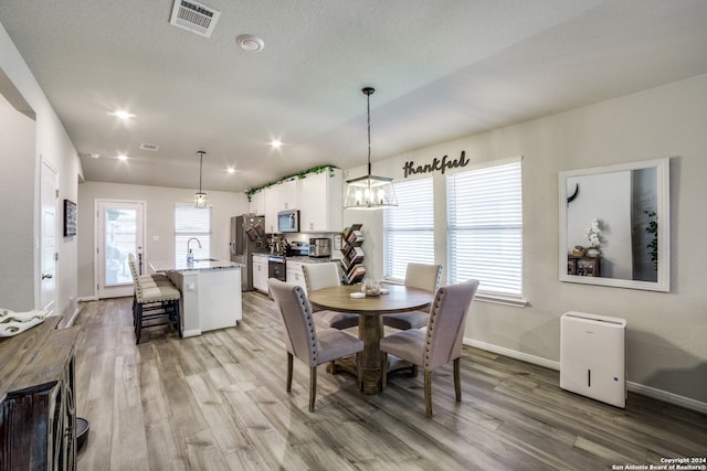 dining room featuring a wealth of natural light, sink, and wood-type flooring