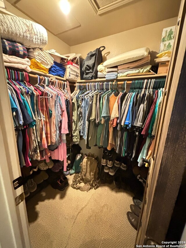 spacious closet featuring carpet flooring