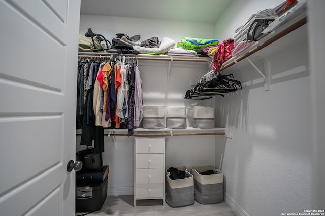 view of spacious closet