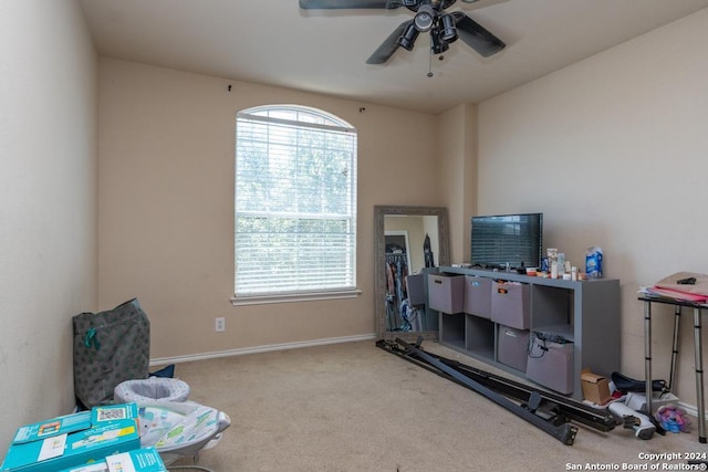 3802 Blue Oak Pass, San Antonio, TX 78223 - interior space featuring baseboards, a ceiling fan, and carpet