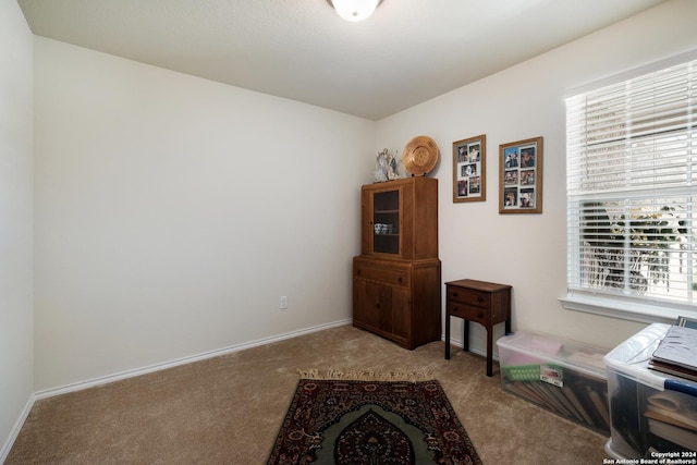 interior space with plenty of natural light, baseboards, and light colored carpet