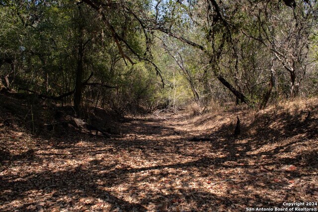 TRACT5 W King Ln, Beeville, TX 78142