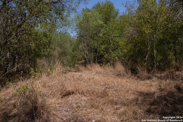 TRACT5 W King Ln, Beeville, TX 78142