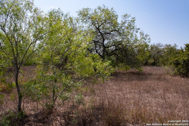 TRACT5 W King Ln, Beeville, TX 78142