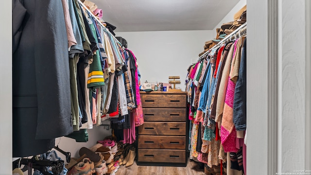 walk in closet with light wood-type flooring