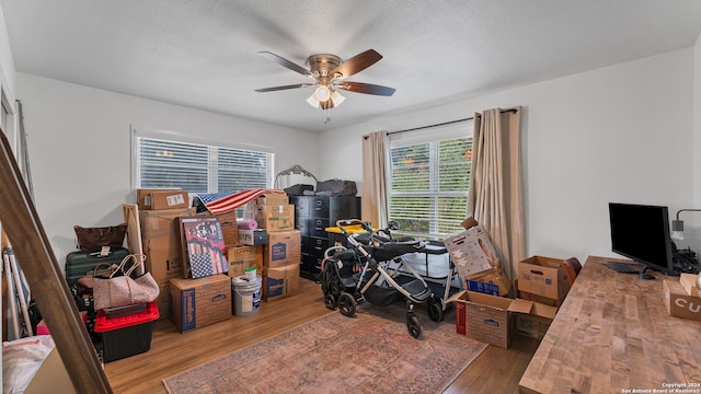 home office featuring light hardwood / wood-style flooring and ceiling fan