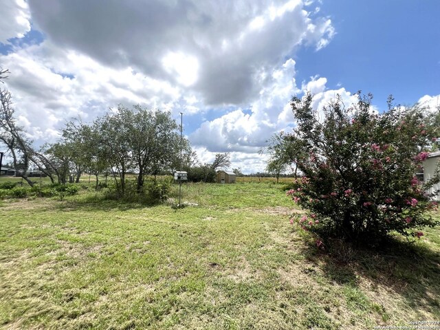 view of yard featuring a rural view