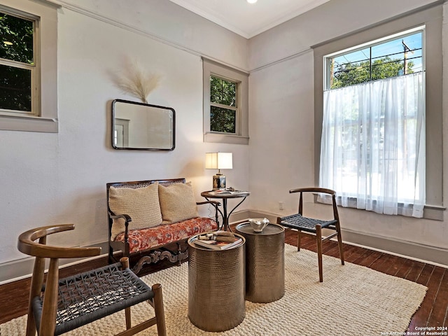 sitting room featuring crown molding and dark hardwood / wood-style flooring