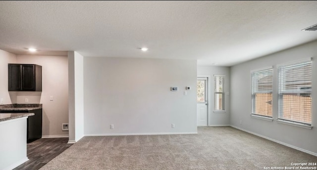 interior space featuring carpet and a textured ceiling