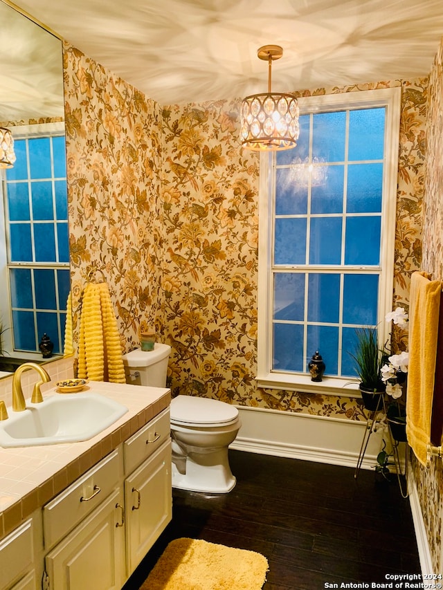 bathroom with toilet, vanity, and wood-type flooring