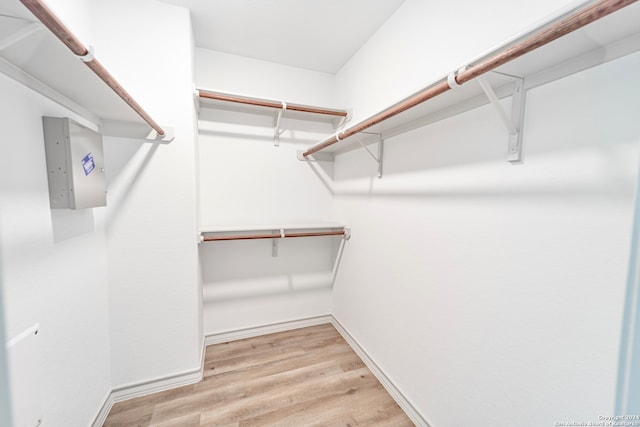 walk in closet featuring light hardwood / wood-style flooring