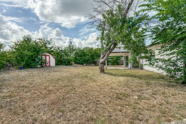 view of yard featuring a storage shed