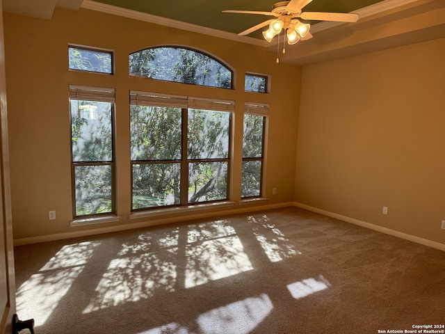 carpeted spare room with ceiling fan and ornamental molding