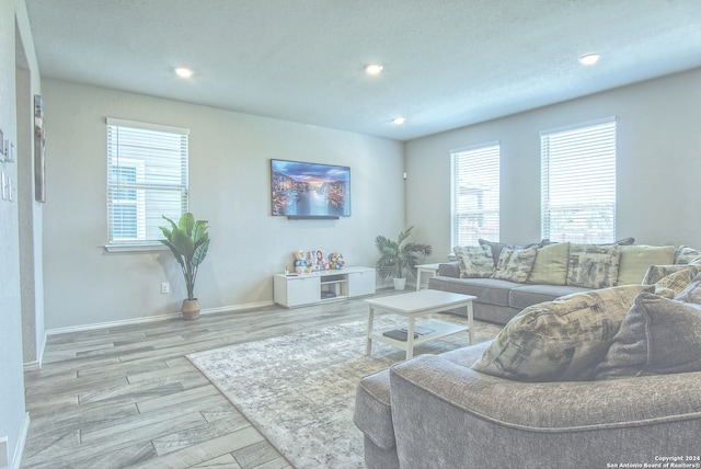 living room featuring light hardwood / wood-style floors