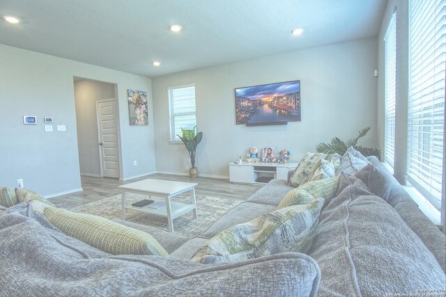 living room featuring light hardwood / wood-style floors