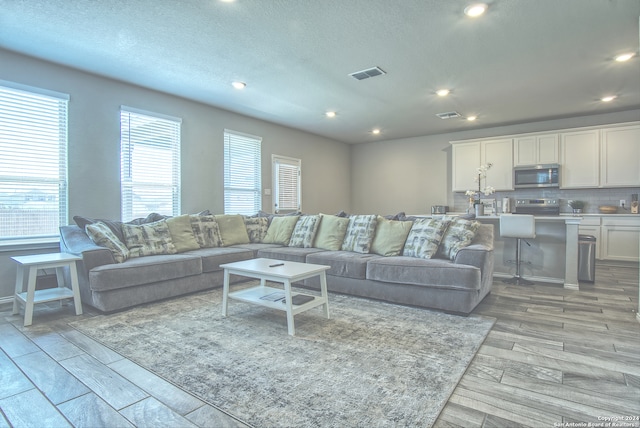 living room featuring a textured ceiling and light hardwood / wood-style flooring