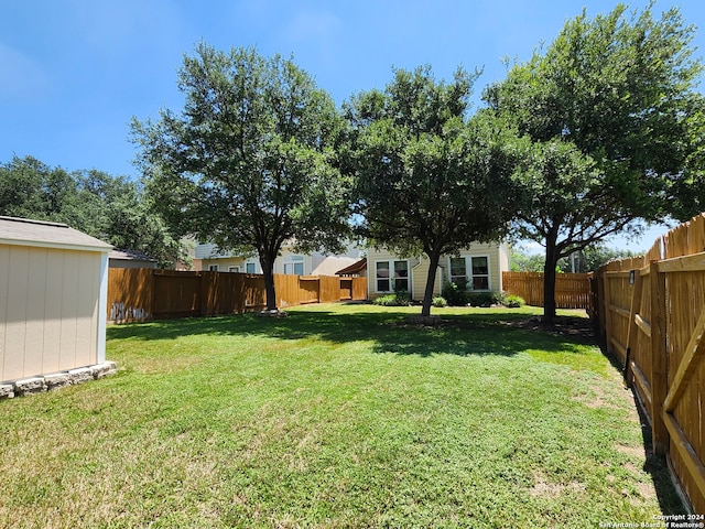 view of yard featuring a storage unit