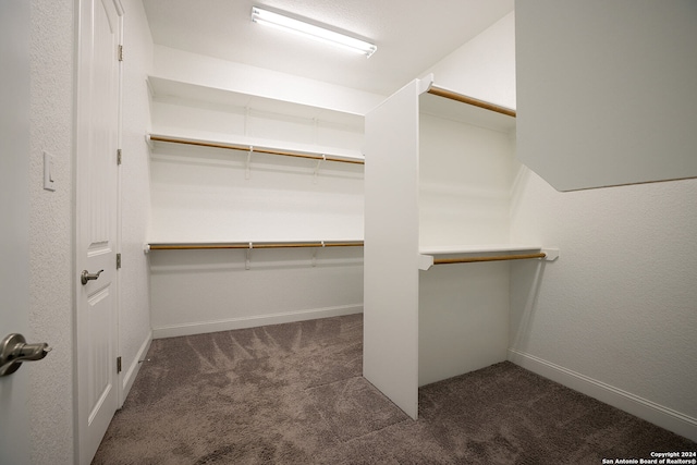 walk in closet with dark carpet