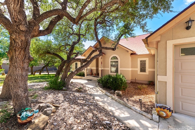 view of front of house featuring an attached garage, roof with shingles, and stucco siding