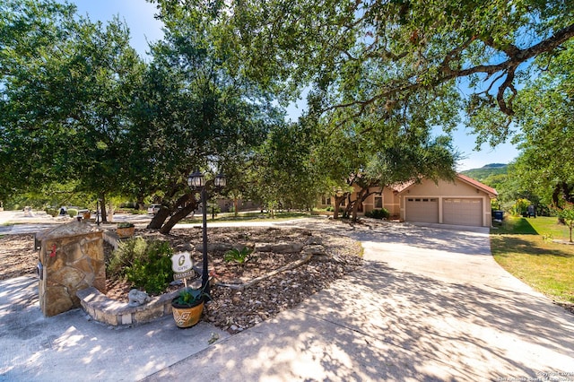 view of front of house with driveway and stucco siding