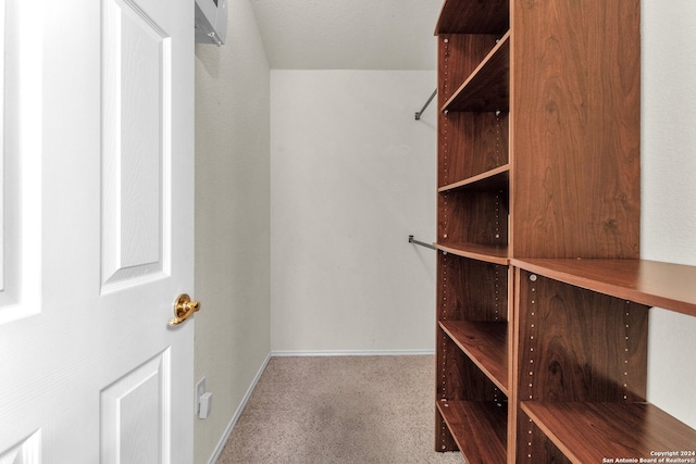 spacious closet with carpet