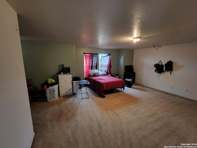 bedroom featuring carpet and a textured ceiling