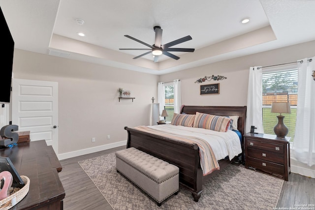 bedroom featuring multiple windows, a tray ceiling, and wood-type flooring