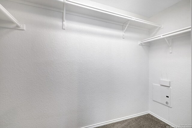 spacious closet featuring carpet flooring