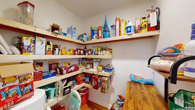 view of pantry