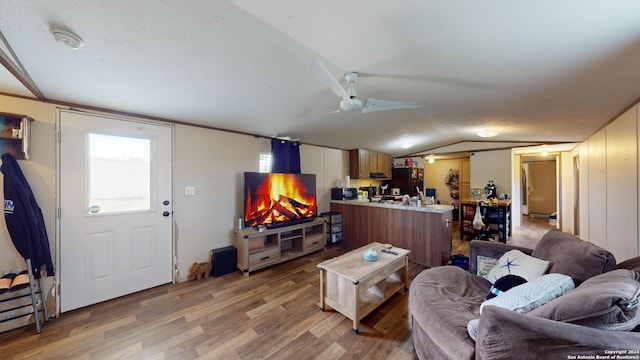 living room featuring ceiling fan, lofted ceiling, and wood-type flooring