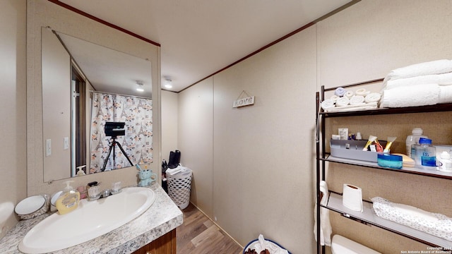 bathroom featuring hardwood / wood-style floors and vanity