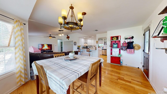 dining room with ceiling fan with notable chandelier, plenty of natural light, and light hardwood / wood-style floors