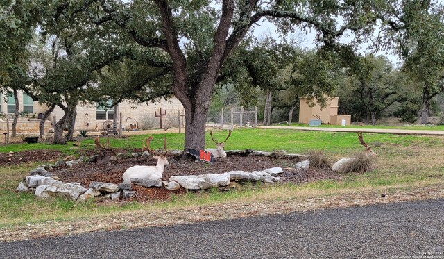 656 San Marcos, New Braunfels, TX 78132