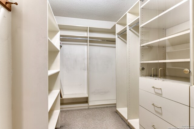 walk in closet with light carpet