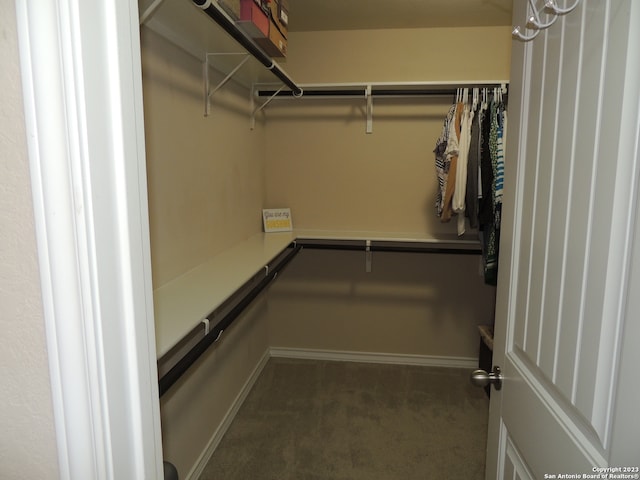 spacious closet with dark colored carpet