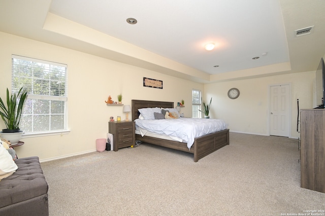 bedroom with a raised ceiling and light carpet