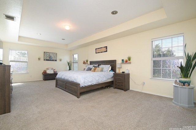 bedroom with light colored carpet, a tray ceiling, and multiple windows