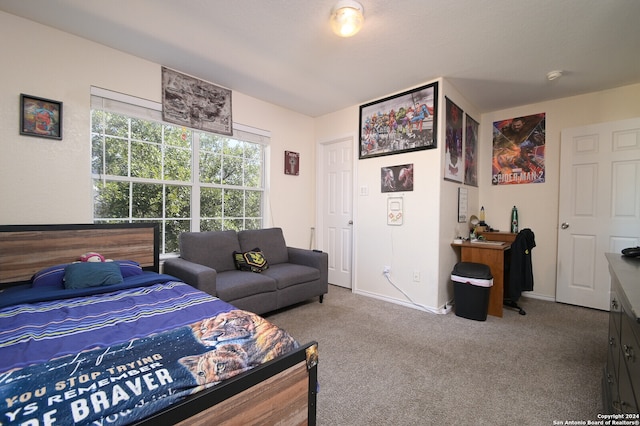 view of carpeted bedroom