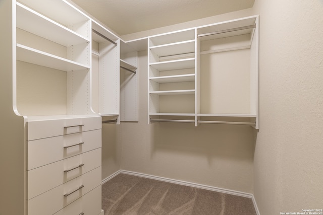 spacious closet with dark carpet