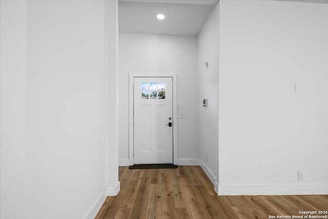 entryway featuring wood-type flooring