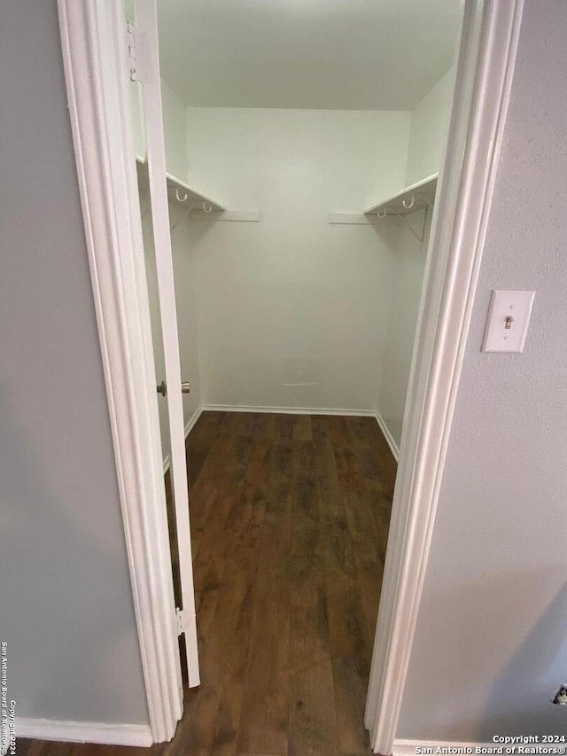 walk in closet featuring dark hardwood / wood-style flooring